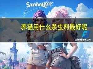 养猫用什么杀虫剂最好呢
