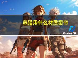 养猫用什么材质窗帘