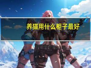 养猫用什么柜子最好