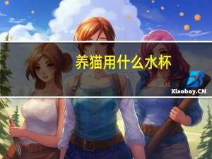 养猫用什么水杯