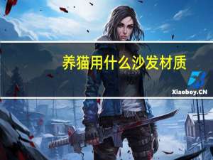 养猫用什么沙发材质