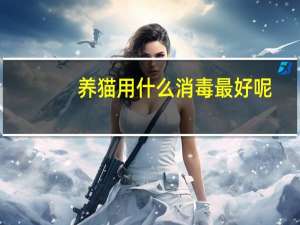 养猫用什么消毒最好呢