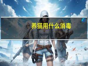 养猫用什么消毒
