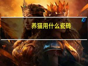 养猫用什么瓷砖