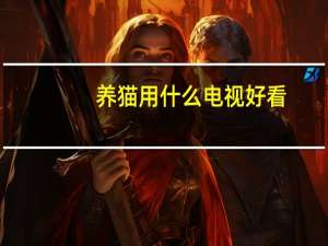 养猫用什么电视好看