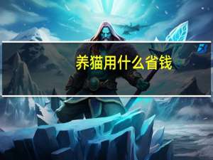 养猫用什么省钱