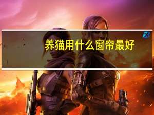 养猫用什么窗帘最好