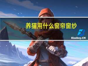 养猫用什么窗帘窗纱