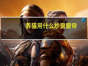 养猫用什么纱窗窗帘