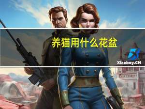 养猫用什么花盆