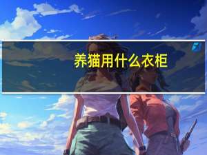 养猫用什么衣柜