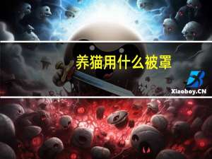 养猫用什么被罩