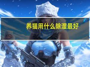 养猫用什么除湿最好