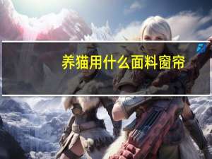 养猫用什么面料窗帘