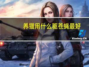 养猫用什么驱苍蝇最好