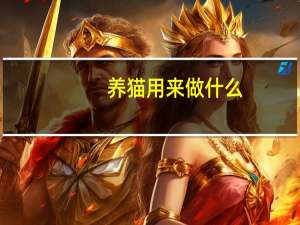 养猫用来做什么