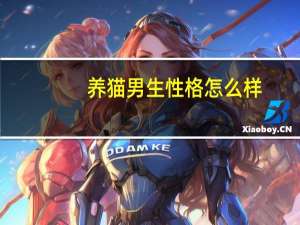 养猫男生性格怎么样