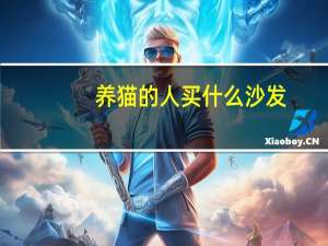 养猫的人买什么沙发