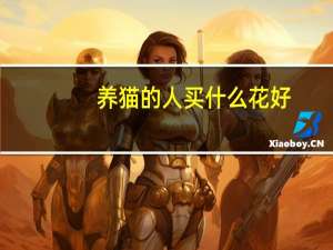 养猫的人买什么花好