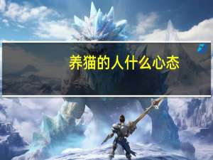 养猫的人什么心态