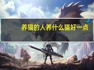 养猫的人养什么猫好一点