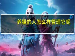 养猫的人怎么样管理它呢