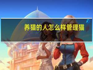 养猫的人怎么样管理猫