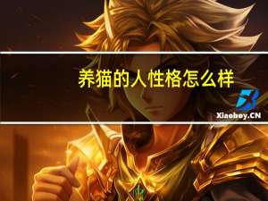 养猫的人性格怎么样