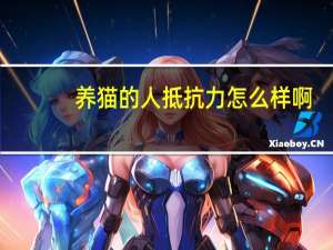 养猫的人抵抗力怎么样啊