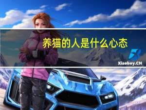 养猫的人是什么心态