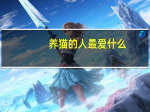 养猫的人最爱什么