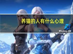 养猫的人有什么心理