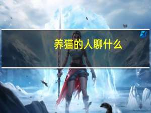 养猫的人聊什么