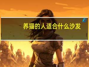 养猫的人适合什么沙发
