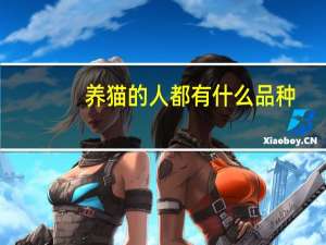 养猫的人都有什么品种