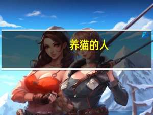 养猫的人