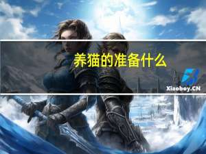 养猫的准备什么