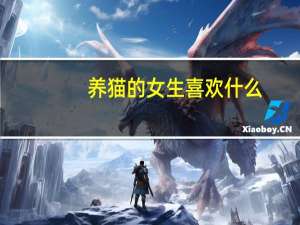 养猫的女生喜欢什么