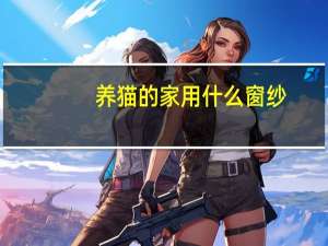 养猫的家用什么窗纱