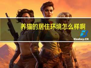 养猫的居住环境怎么样啊