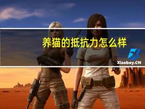 养猫的抵抗力怎么样