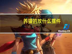 养猫的放什么摆件