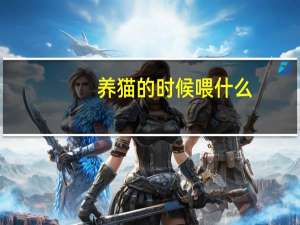 养猫的时候喂什么