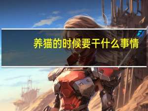 养猫的时候要干什么事情
