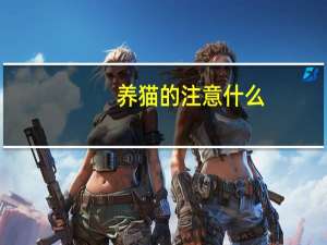 养猫的注意什么