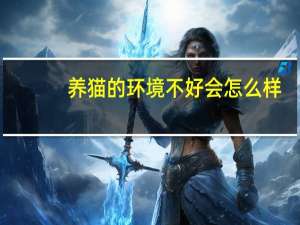 养猫的环境不好会怎么样