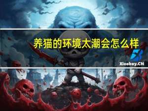 养猫的环境太潮会怎么样