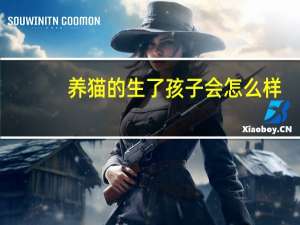 养猫的生了孩子会怎么样