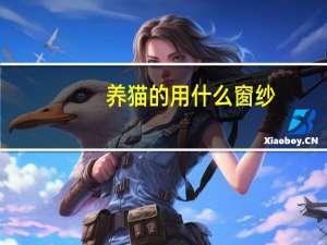 养猫的用什么窗纱