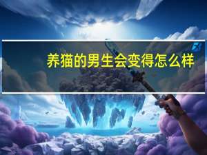 养猫的男生会变得怎么样